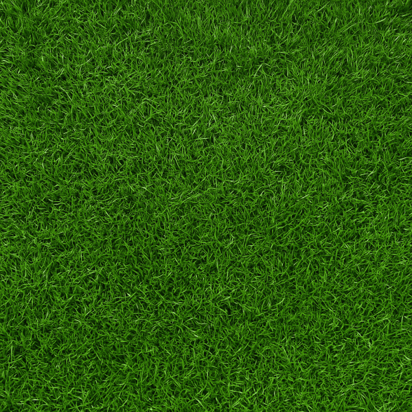 Fresh Sod (2'x5')